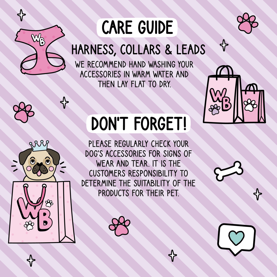 Dino Paws Dog Lead Care Guide