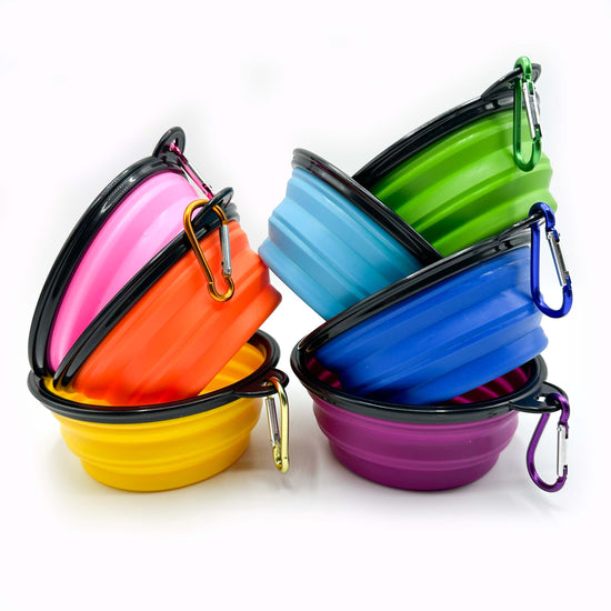 Collapsible Dog Bowl Green