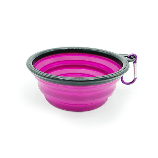 Collapsible Dog Bowl Purple