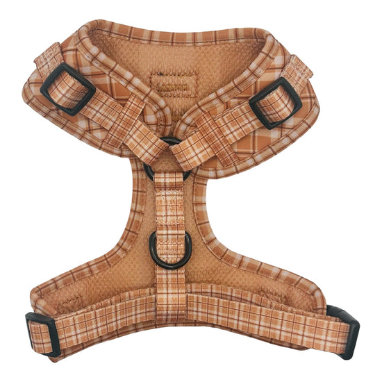 Oh So Autumn Adjustable Dog Harness