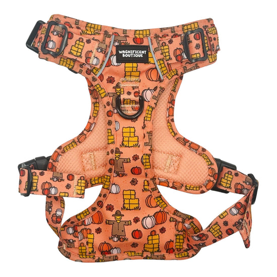 Happy Hikes No Pull Dog Harness - Pumpkin Patch