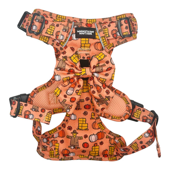 Happy Hikes No Pull Dog Harness - Pumpkin Patch