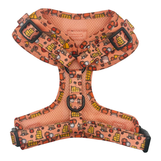 Pumpkin Patch Adjustable Dog Harness