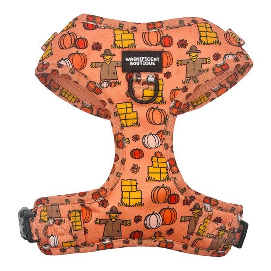 Pumpkin Patch Adjustable Dog Harness