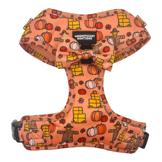 Pumpkin Patch Adjustable Dog Harness