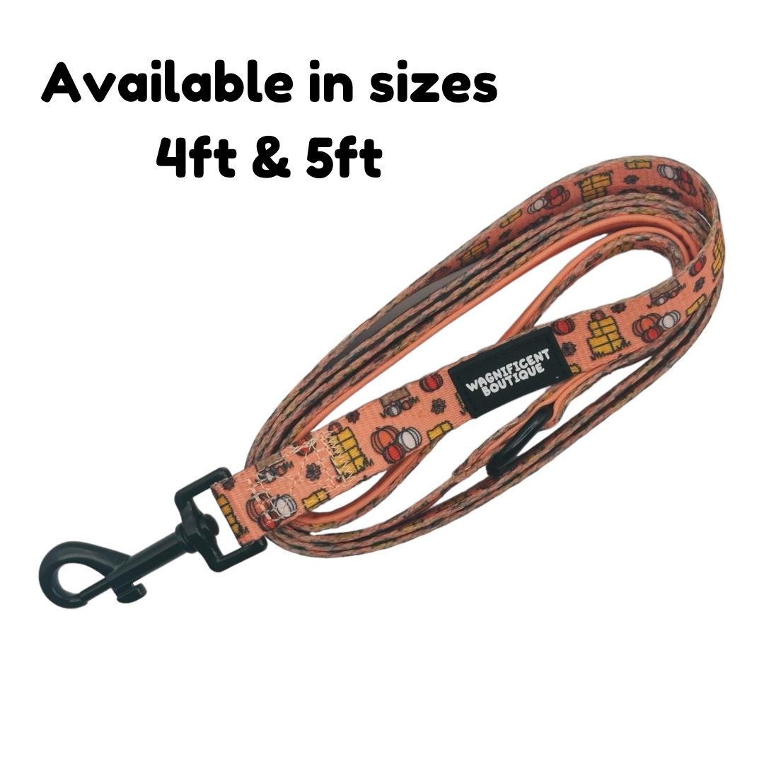 Pumpkin Patch Dog Lead