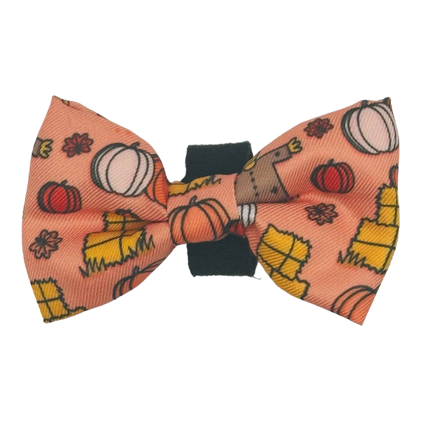 Pumpkin Patch Bow