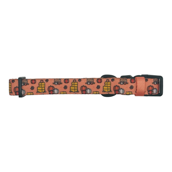 Pumpkin Patch Adjustable Dog Collar