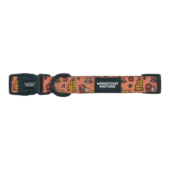 Pumpkin Patch Adjustable Dog Collar