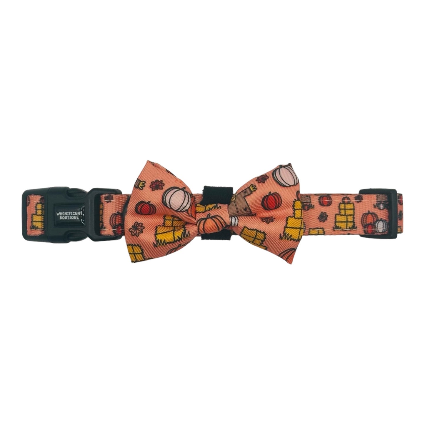 Pumpkin Patch Adjustable Dog Collar