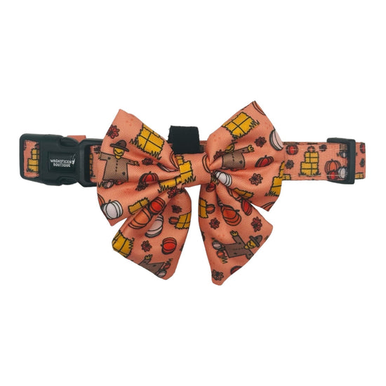 Pumpkin Patch Adjustable Dog Collar