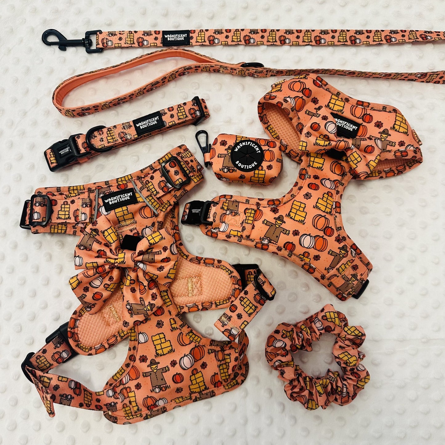 Pumpkin Patch Adjustable Dog Harness