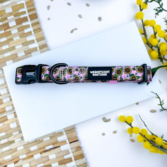 Bumble & Bloom Dog Collar