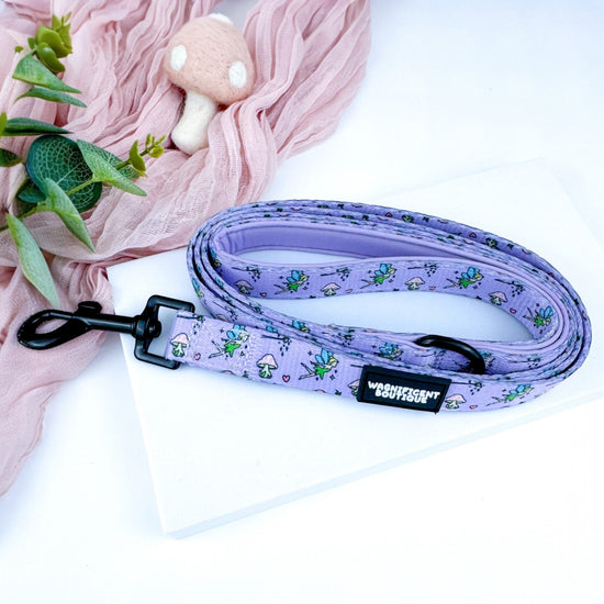 Do You Believe In Faries Dog Lead