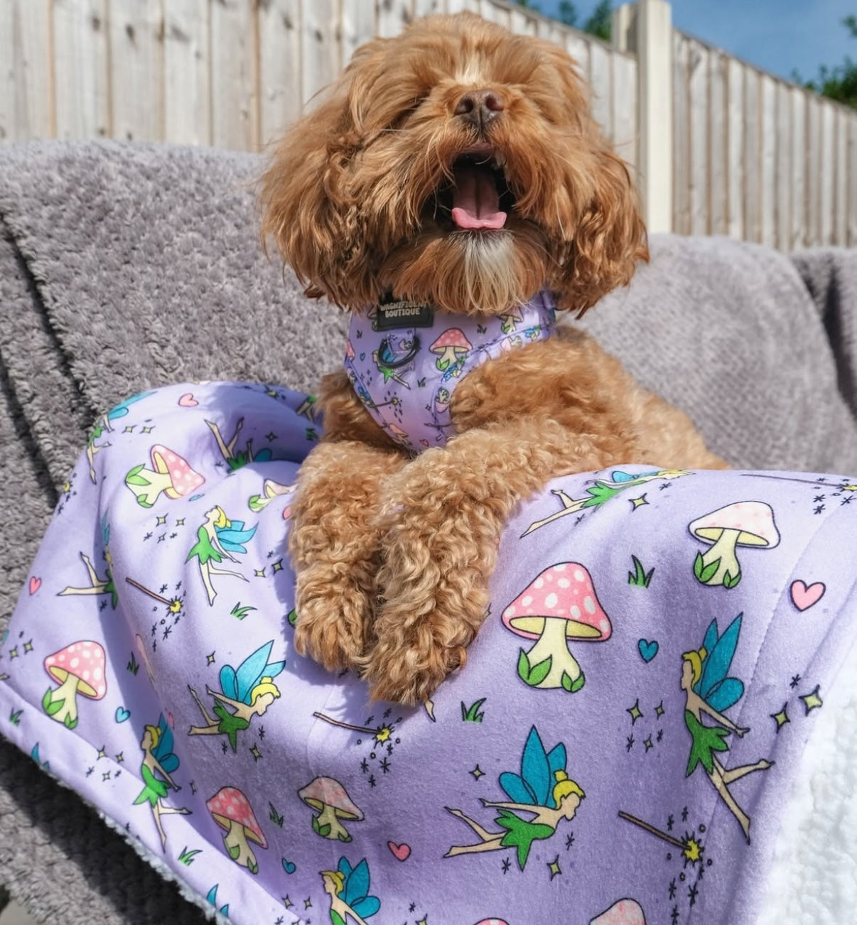 Do You Believe In Fairies Adjustable Dog Harness