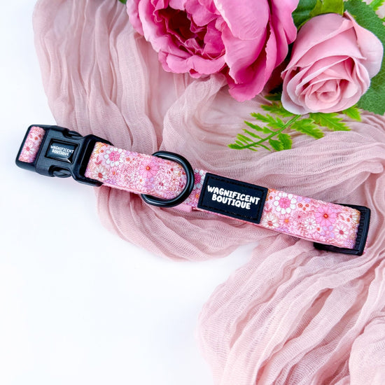 Pink Posy Club Adjustable Dog Collar