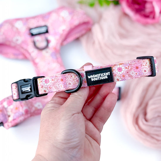 Pink Posy Club Adjustable Dog Collar