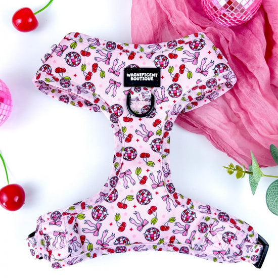 Cherry Disco Adjustable Dog Harness