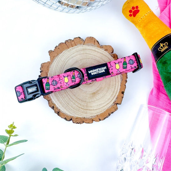 Pawsecco Adjustable Dog Collar
