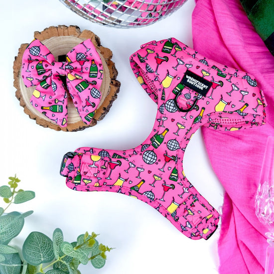 Pawsecco Adjustable Dog Harness