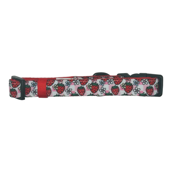 Strawberry Picnic Adjustable Dog Collar