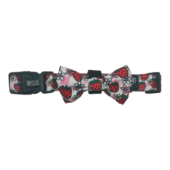 Strawberry Picnic Adjustable Dog Collar